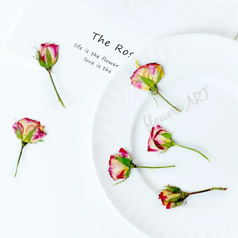 Pressed Rose Bud Flower Petals - огляд і ціна Photo Frame Baby