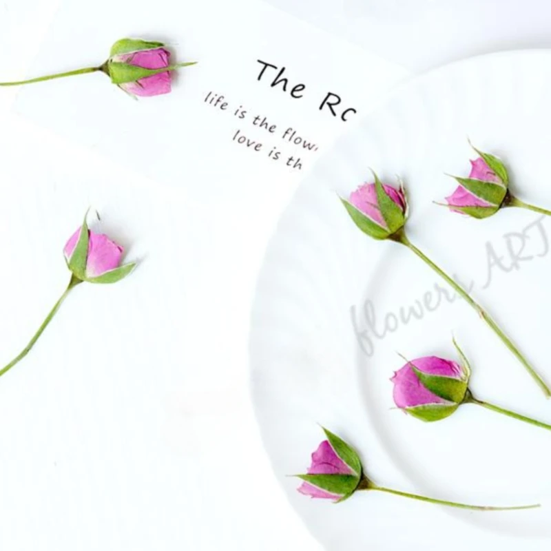 Pressed Rose Bud Flower Petals - огляд і ціна Photo Frame Baby