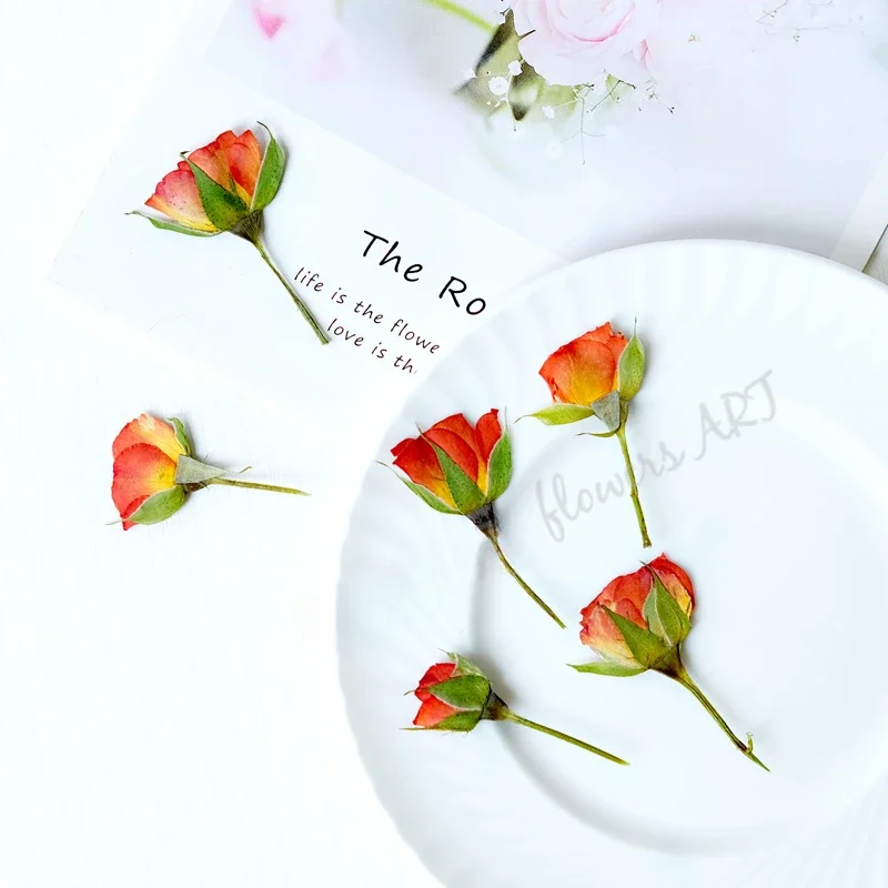 Pressed Rose Bud Flower Petals - огляд і ціна Photo Frame Baby