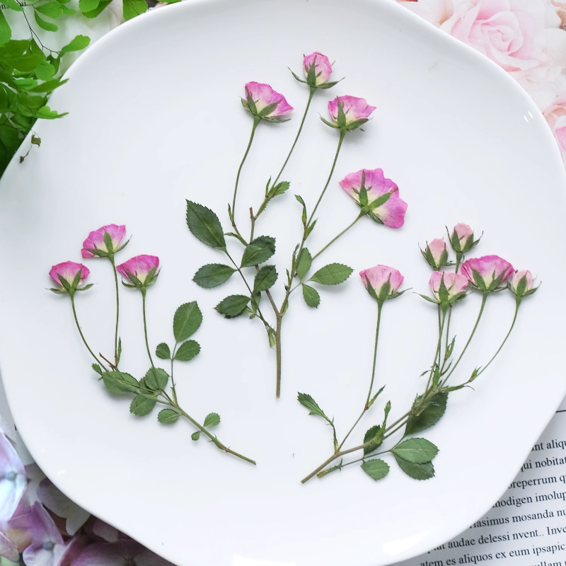 12pcs,Mini Pink Rose Pressed F - огляд і ціна Photo Frame Baby