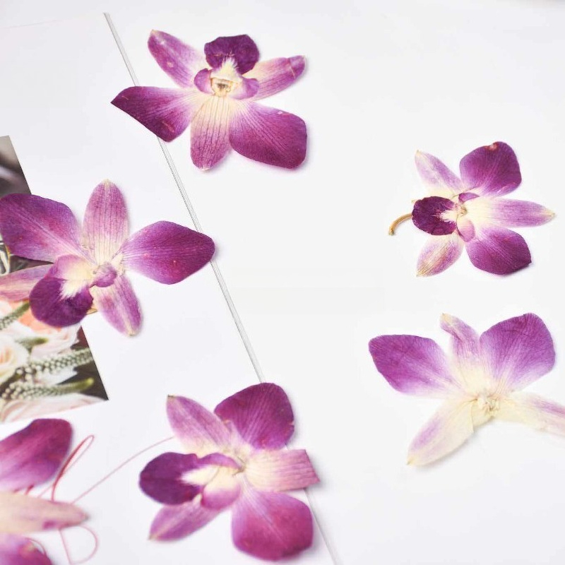 4pcs,Real Pressed Butterfly Or - огляд і ціна Photo Frame Baby