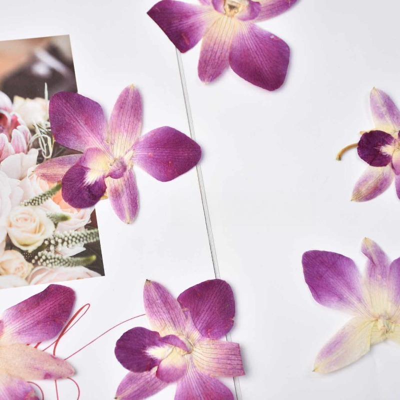 4pcs,Real Pressed Butterfly Or - огляд і ціна Photo Frame Baby