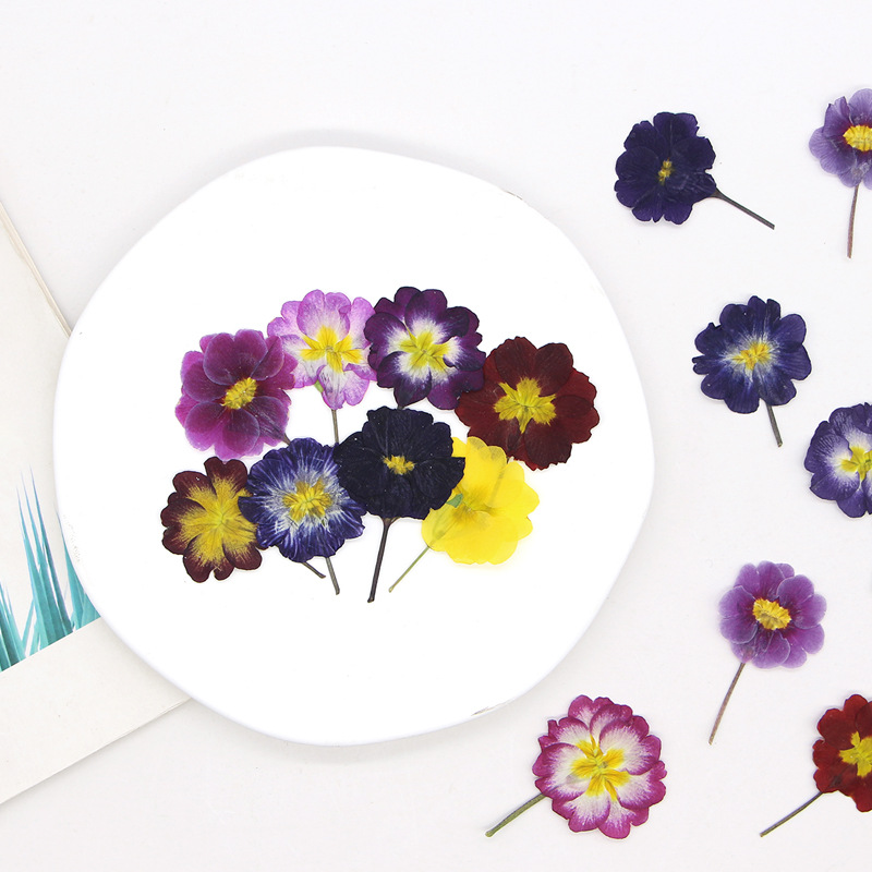 48Pcs European Primrose Teachi - огляд і ціна Photo Frame Baby