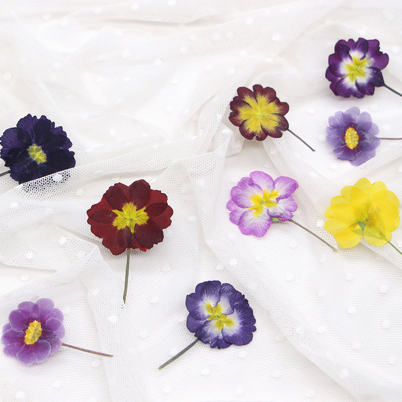 48Pcs European Primrose Teachi - огляд і ціна Photo Frame Baby