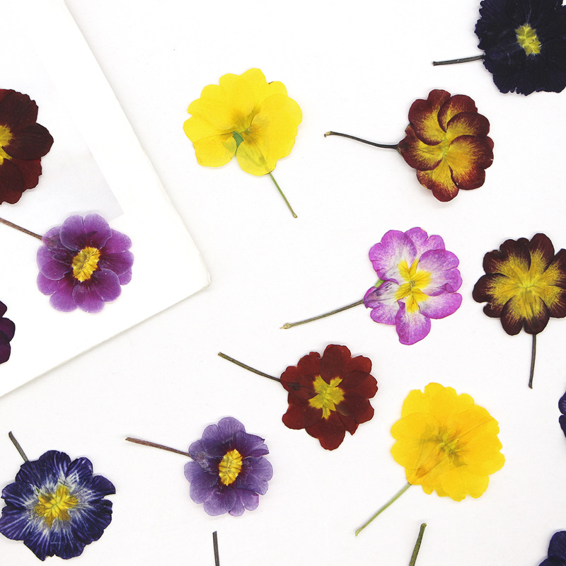 48Pcs European Primrose Teachi - огляд і ціна Photo Frame Baby