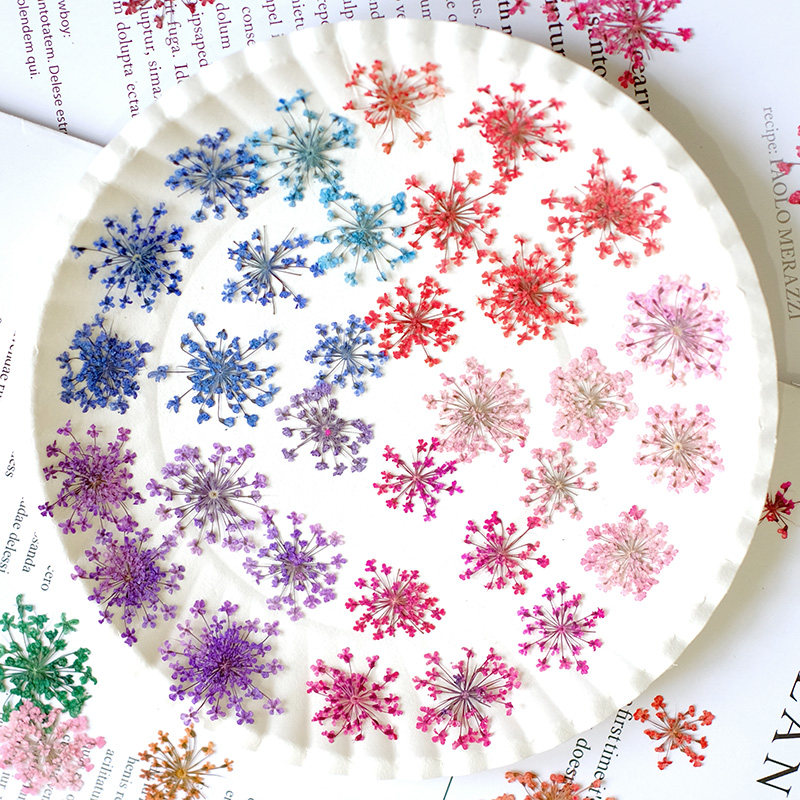 24pcs, 2-2.5cm, Nature Dyed Mi - огляд і ціна Photo Frame Baby