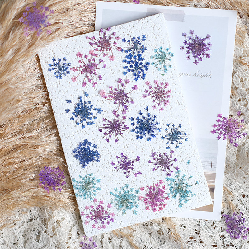 24pcs, 2-2.5cm, Nature Dyed Mi - огляд і ціна Photo Frame Baby