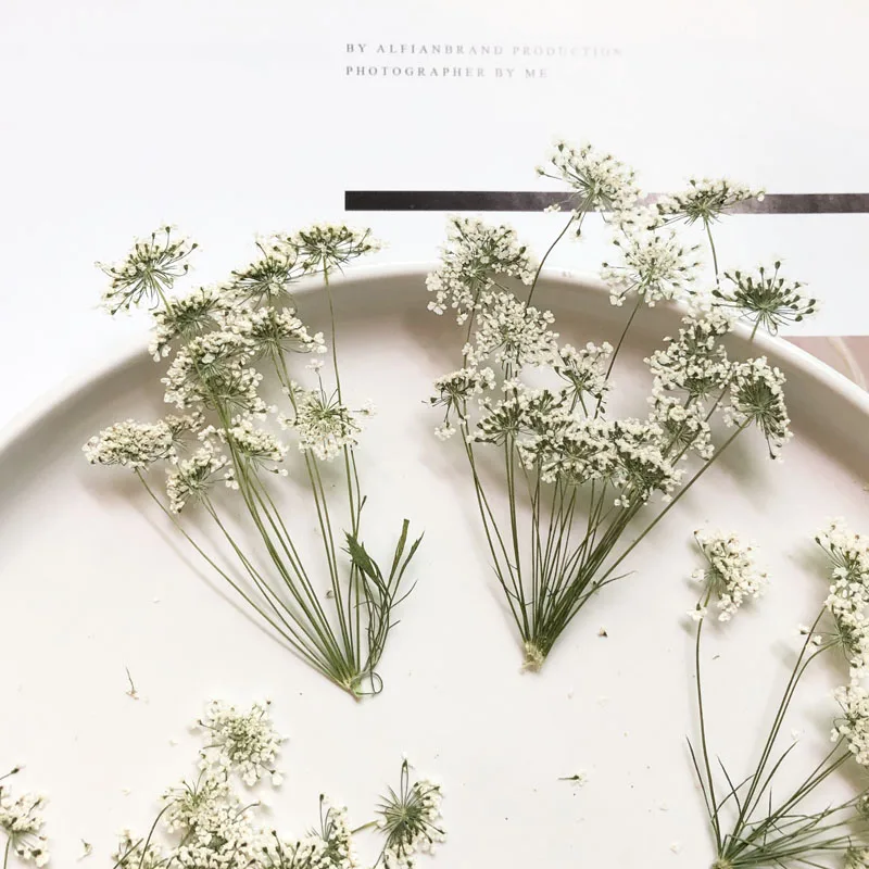 5-7cm/12pcs,Snow Tiny Flowers  - огляд і ціна Photo Frame Baby