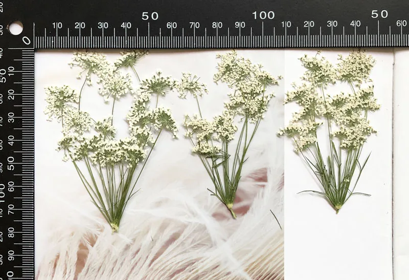 5-7cm/12pcs,Snow Tiny Flowers  - огляд і ціна Photo Frame Baby