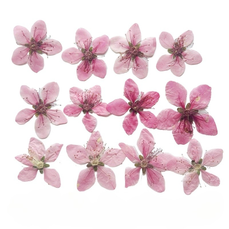 12pcs,Nature Peach Blossom Pre - огляд і ціна Photo Frame Baby