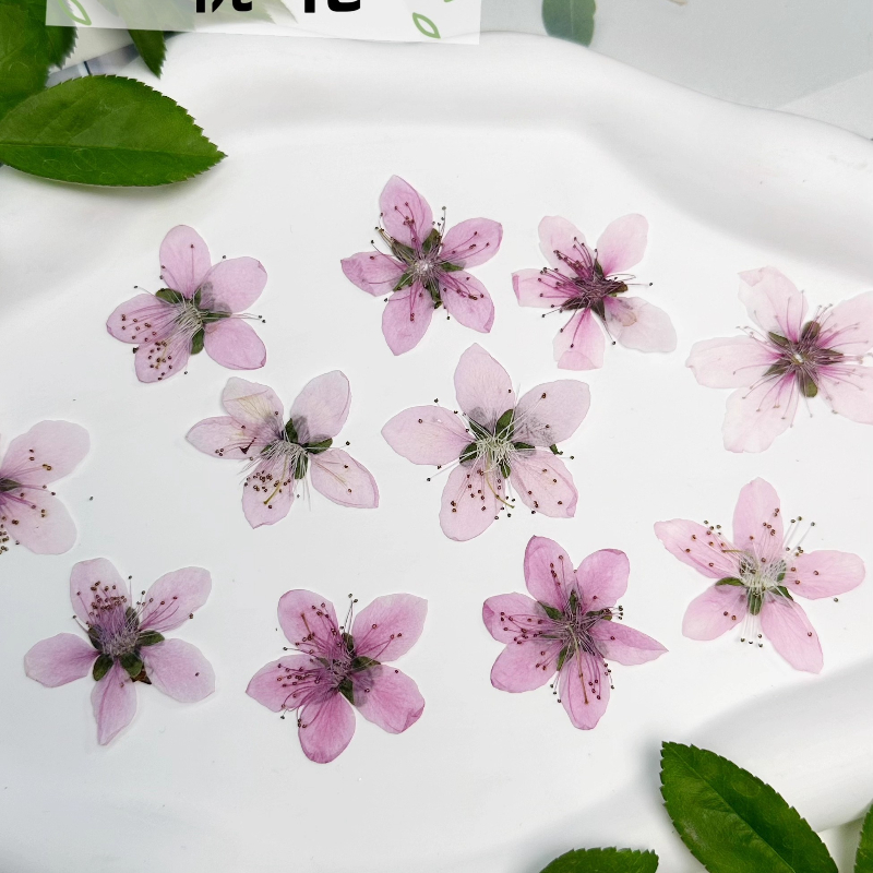 12pcs,Nature Peach Blossom Pre - огляд і ціна Photo Frame Baby